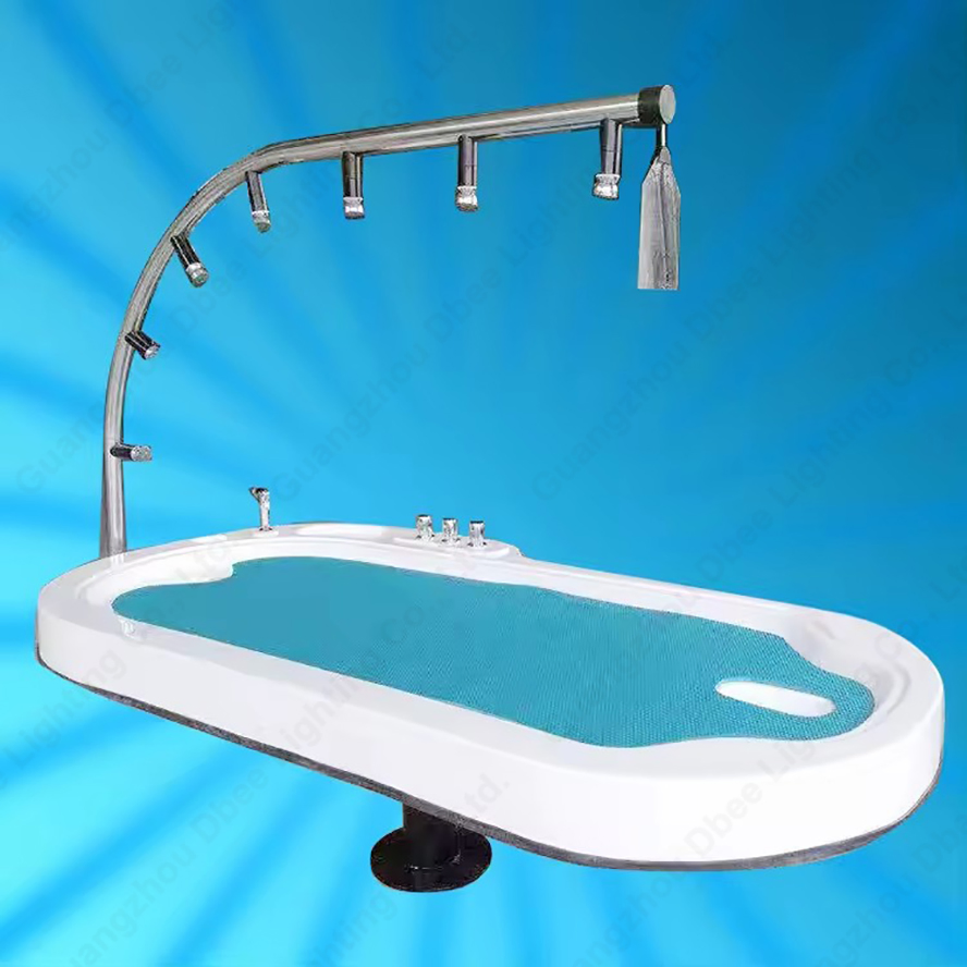 Hydrotherapy Massage SPA Table Acrylic Vichy Shower Bed Horizontal Therapeutic Shower Bed