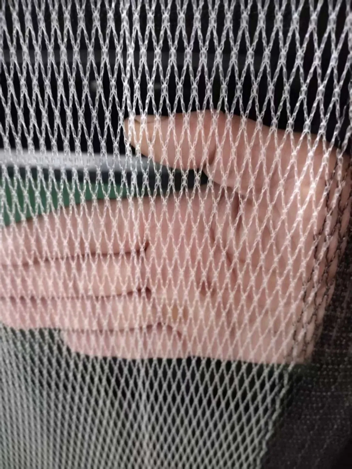 Effective Protection Factory Price User-Friendly Pest-Shielding Hail-Proof Net