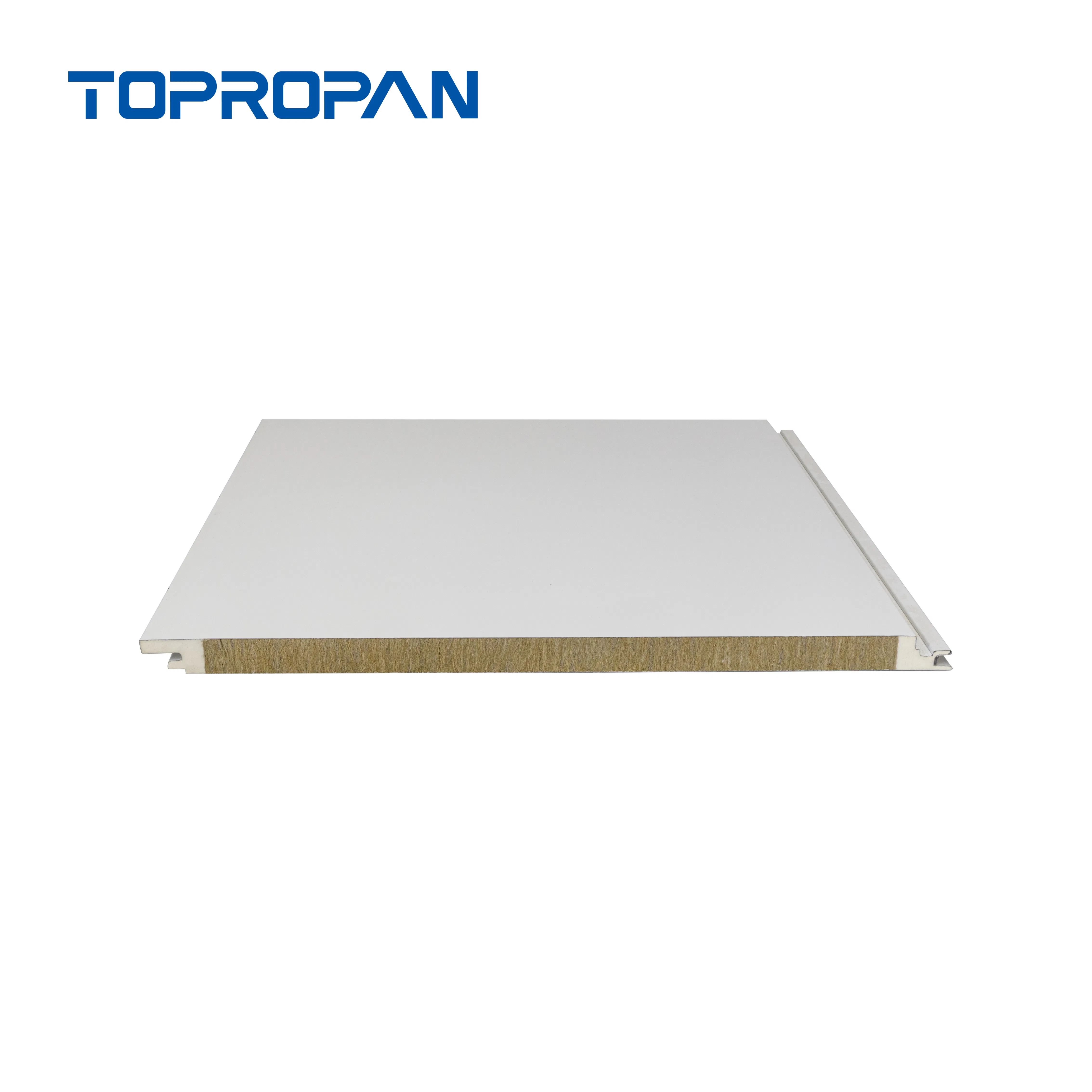 Rockwool Sandwich Roof Panel for Optimal Cleanroom Building Efficiency