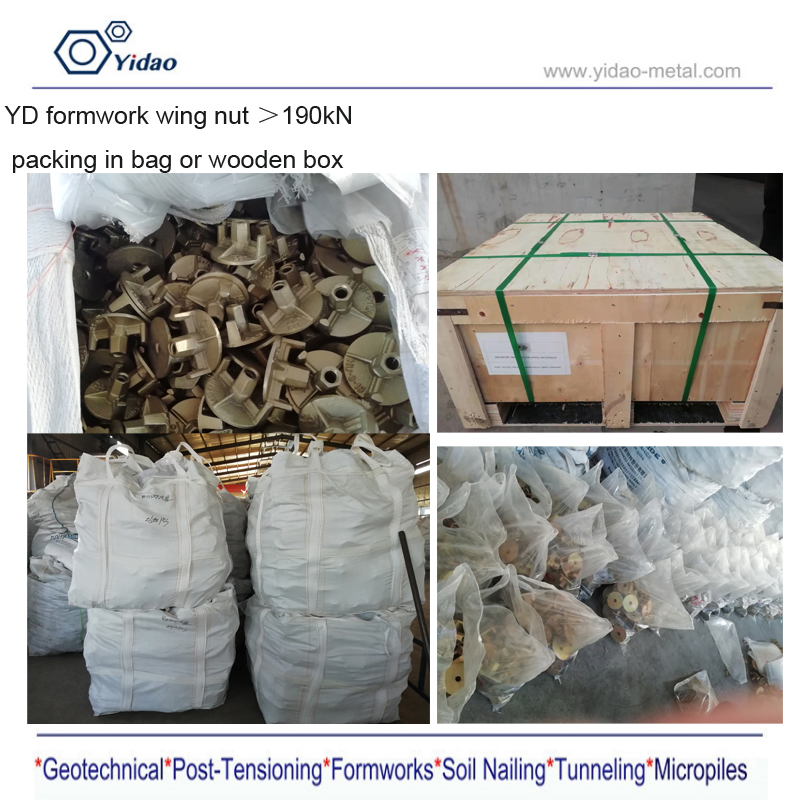 Scaffolding Formwork Accessories and Tie Nut Coupler