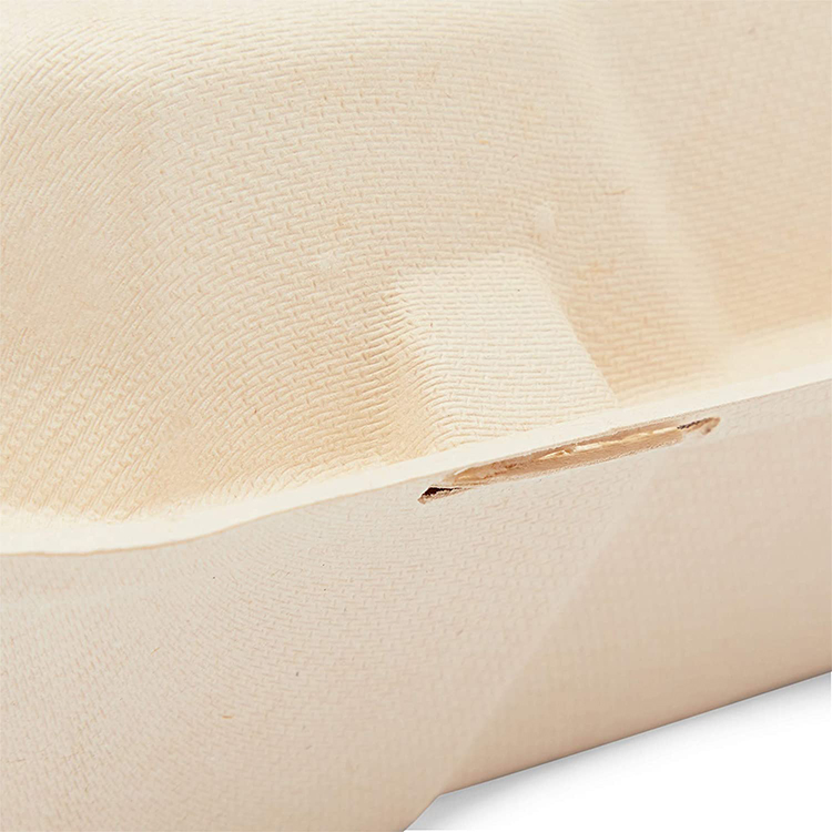 8X8X3" Compostable 3-Compartment Clamshell Sugarcane Bagasse Pulp Hinged Food Container