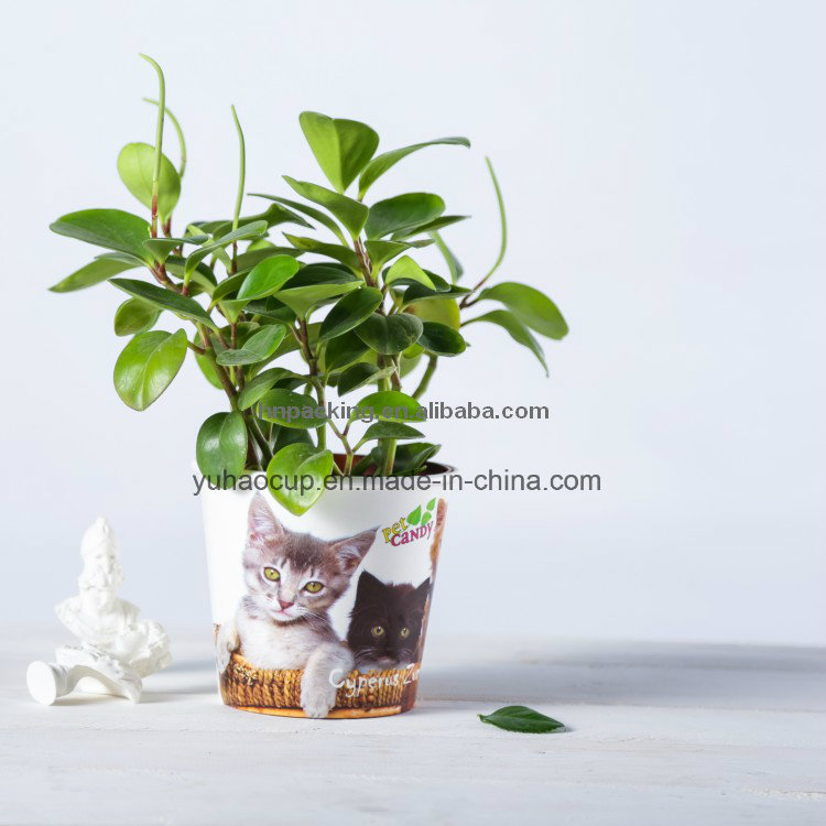 Popular Beautiful Printed Disposable Paper Flower Plant Bucket