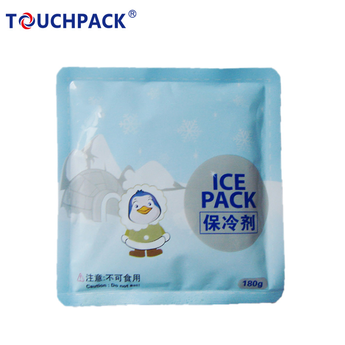 Frozen Cold Packs for Meat Delivery Gel Pack Food Shipping Reusable Ice Pack