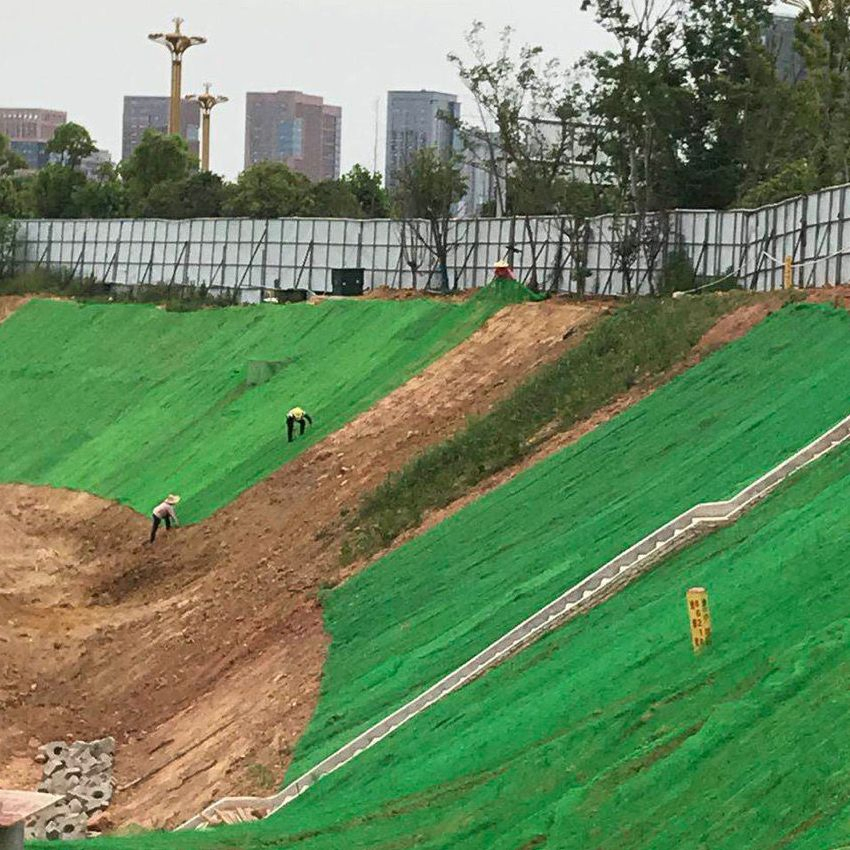 Vegetation Net for Saline Land Improvement Ecological Greening on-Time Delivery