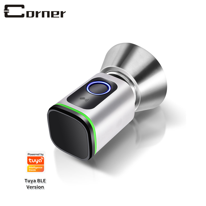 Mechanical Key Backup USB Charging Port Support Electronic Keyless APP Function Smart Door Lock