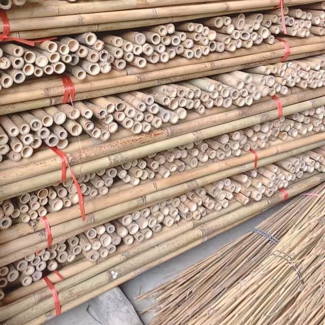 Tonkin Bamboo Poles for Agricultural Use to Support Plants Grow