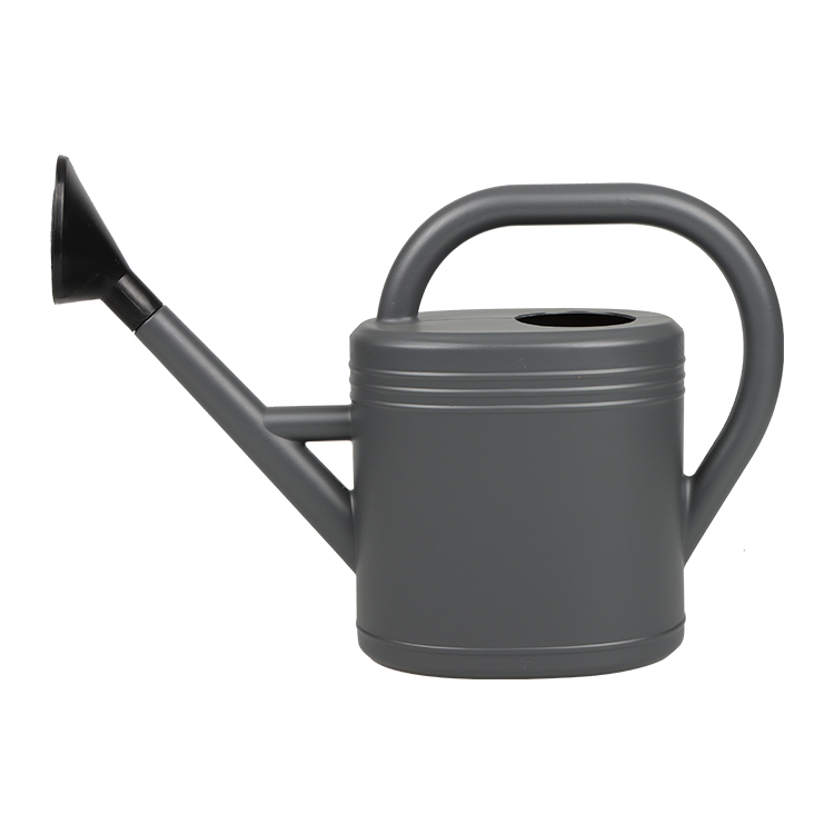 High Quality Plating 3 5 8 10lwater Can Home Decoration Spray Bottle for Bosai Pot Growing Planter Water Pot (SH-2001-4)