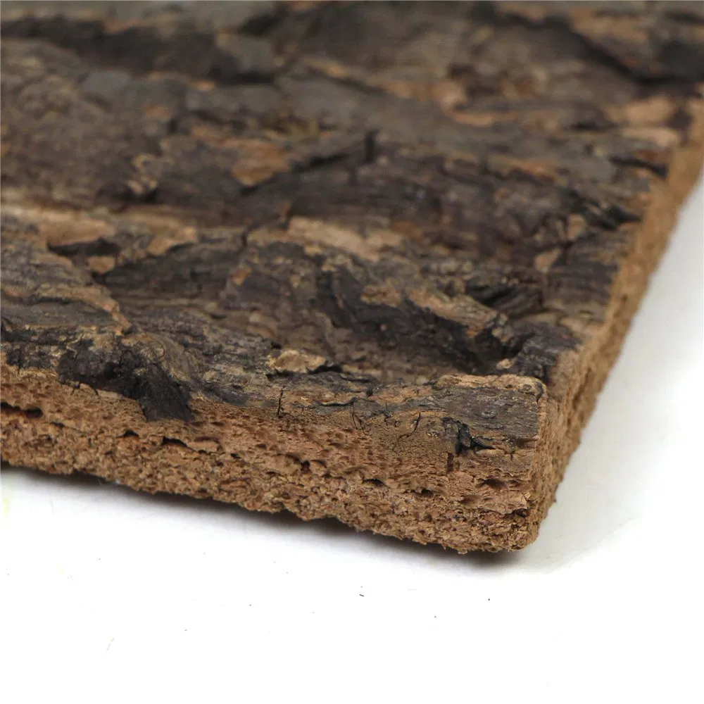 Natural Oak Tree Bulk Virgin Cork Bark Natural for Reptiles