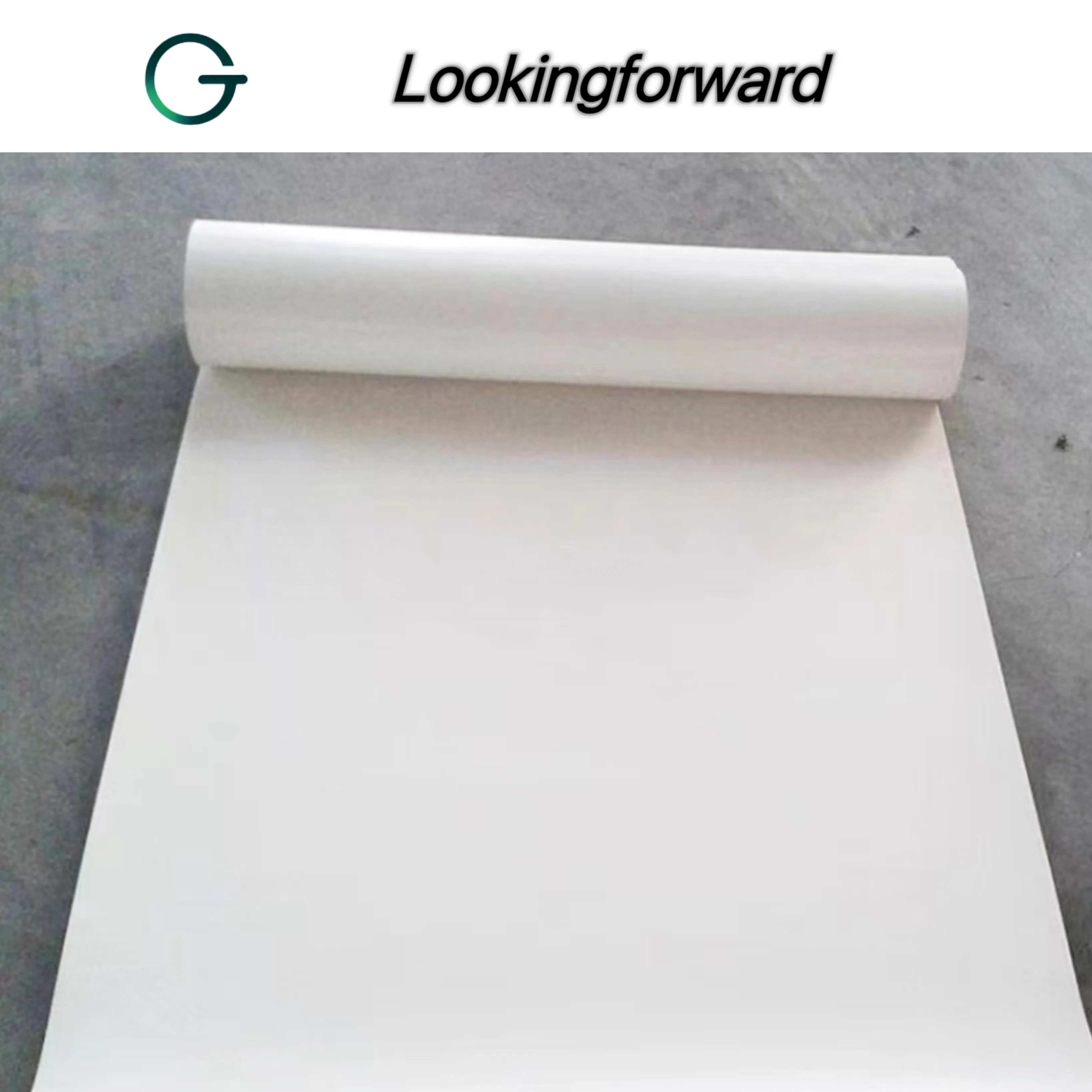 ISO/CE Approved Tpo Waterproofing Membrane