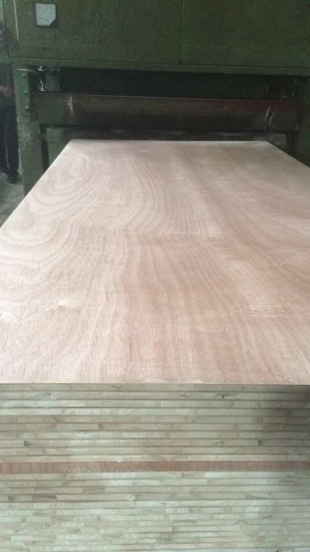 Paulownia Wood Core Blockboard 18mm Sale in Mexico