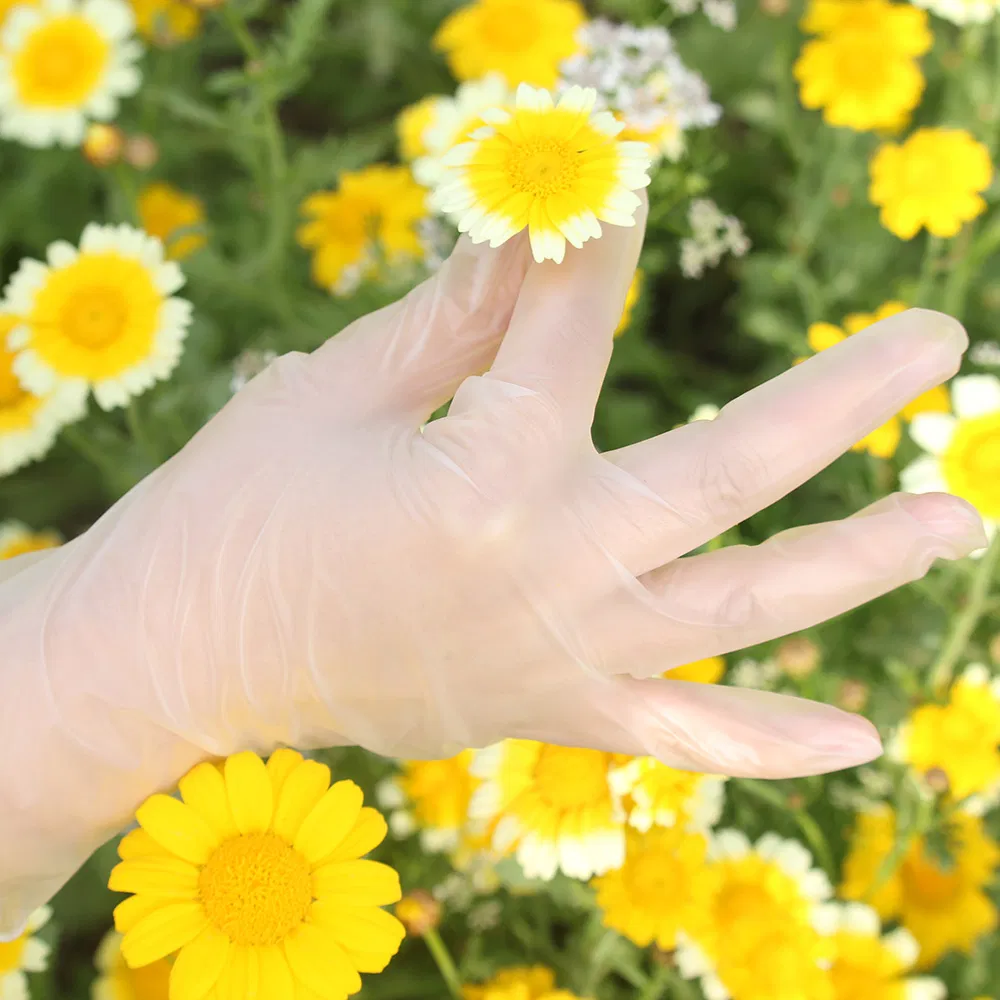 Vinyl Gloves for Food Household Cleaning Powder Free