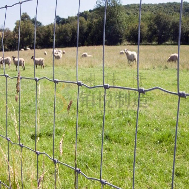 Hinged Joint Knotted Farm Fence Sheep Rabit Cattle Galvanized Wire Fence Game Wire Livestock Fence