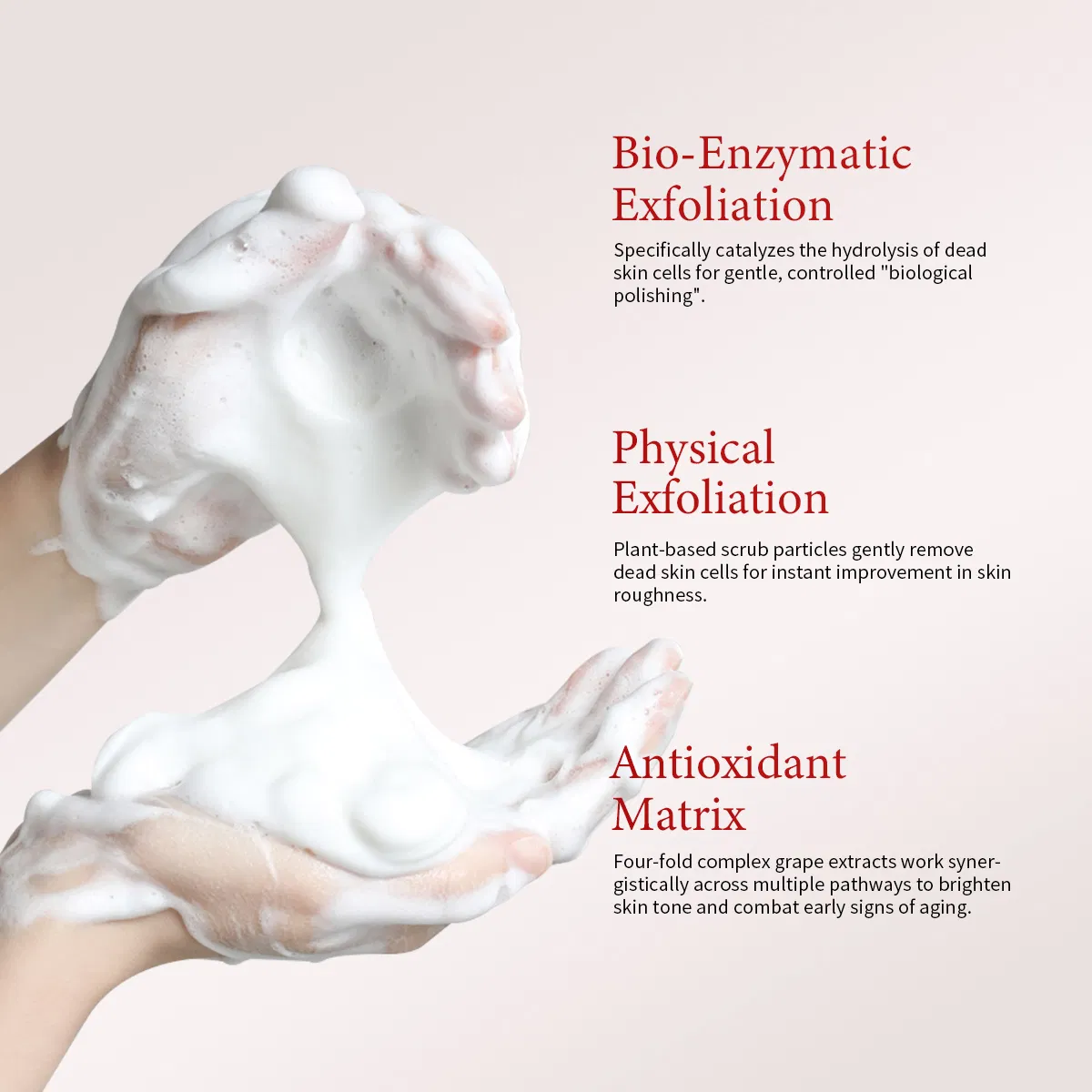 OEM/ODM Therapy Antioxidant Brightening Bio-Enzyme Physical Scrub Instant Antioxidant Grape Enzyme Hydrotherapy Cleanser