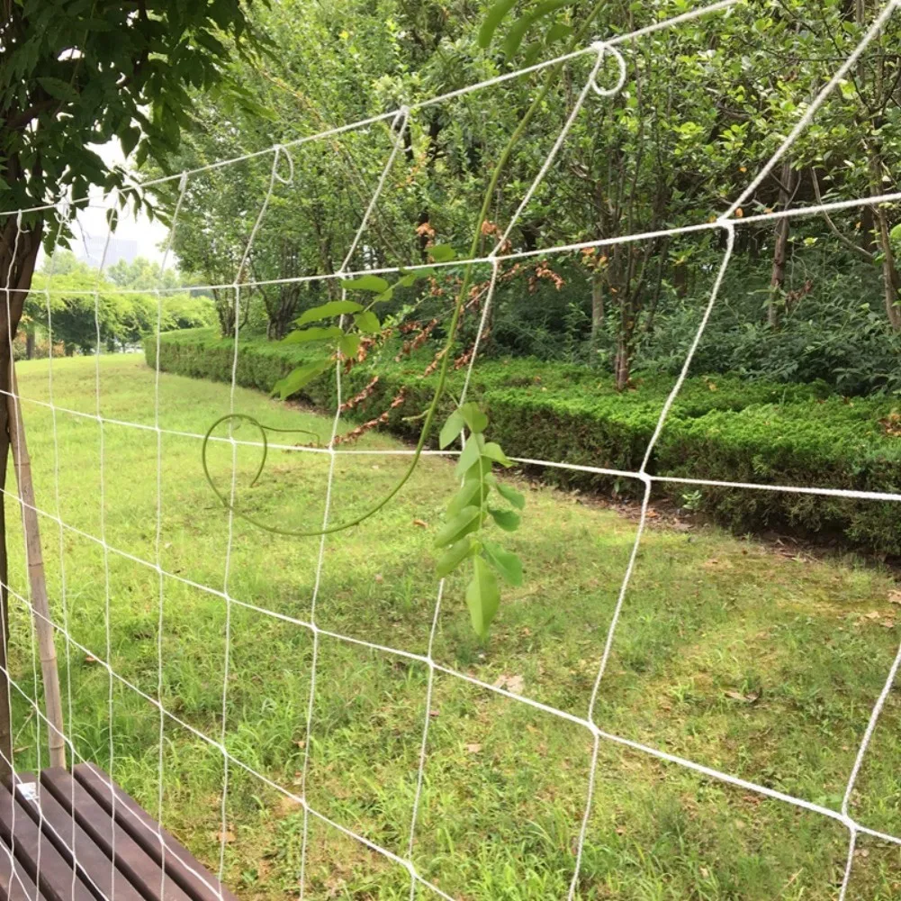High Quality PE Material Agriculture Net or Gardening Climbing Plant Support Net Garden Net