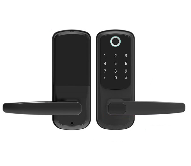 High Security Level Multifunctional WiFi Password Card Smart Lock for Rental Property Management