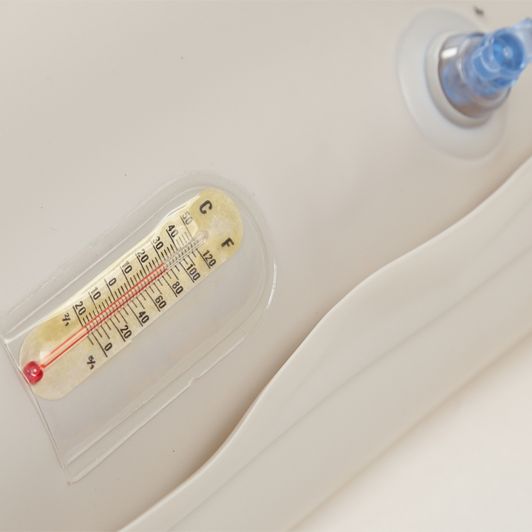 Inflatable Water Mattress with Pump