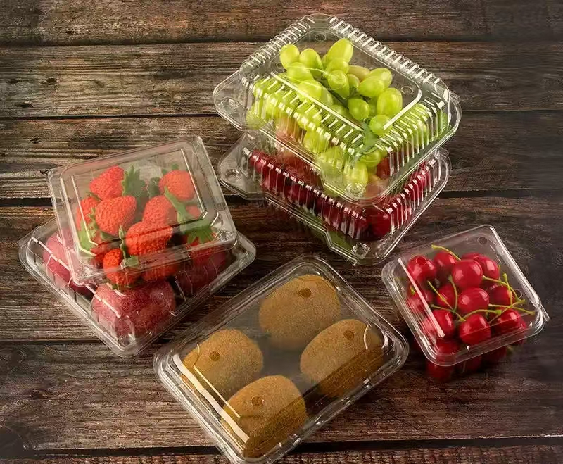 Wholesale Anti-Fog Lid & Ventilated Fruit Box Pet Clamshell Container for Fresh Fruit Packaging