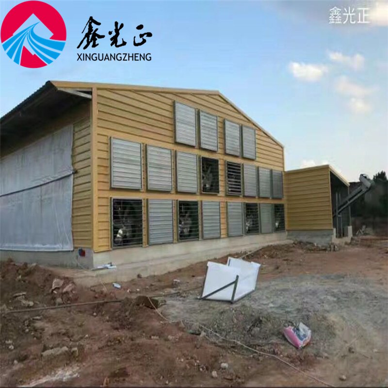 Automatic Chicken Egg Laying Cage for Poultry Farm House