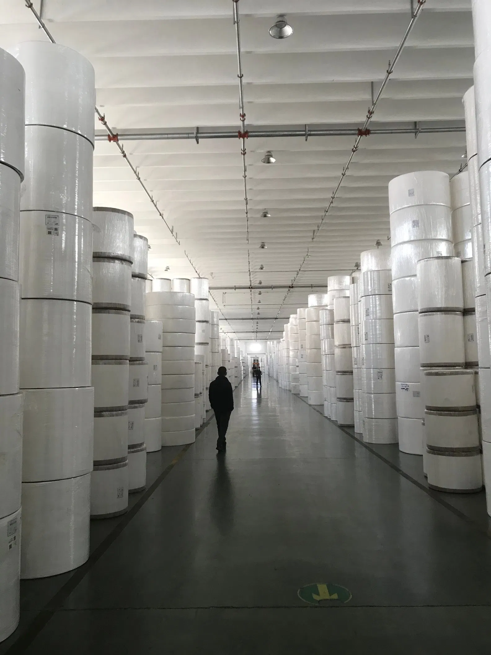 Mother Jumbo Rolls Toilet Tissue Rolls