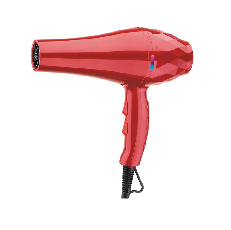 Wholesale Professional Hot and Cold Air Hair Dryer Styler