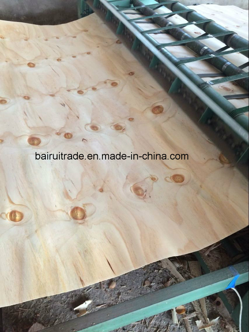 1270mm-2520mm Pine Veneer Plywood for Furniture in Linyi City China