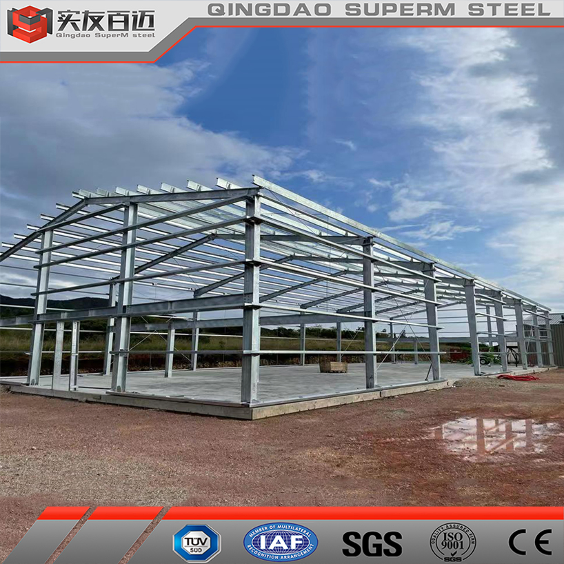 Insulation Sandwich Panel Prefab House Prefabricated Steel Structure Building Construction Material Price Sorage House Steel Plant Warehouse with Truck Garage