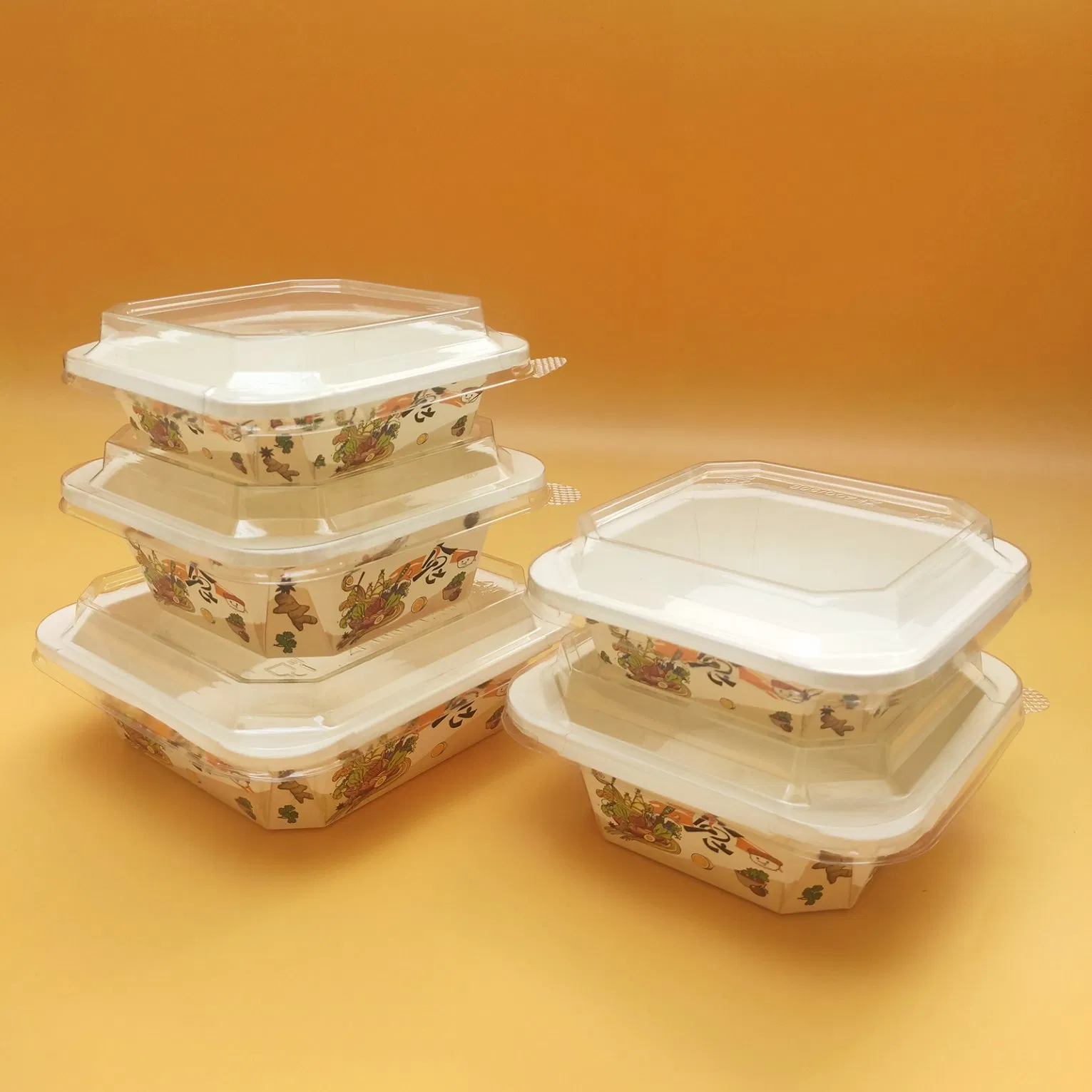 Disposable Printed Takeaway Paper Salad Bowl with Lid