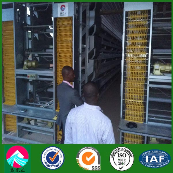 Prefabricated China Steel Structure Poultry Farms with Cage-Rearing Equipment