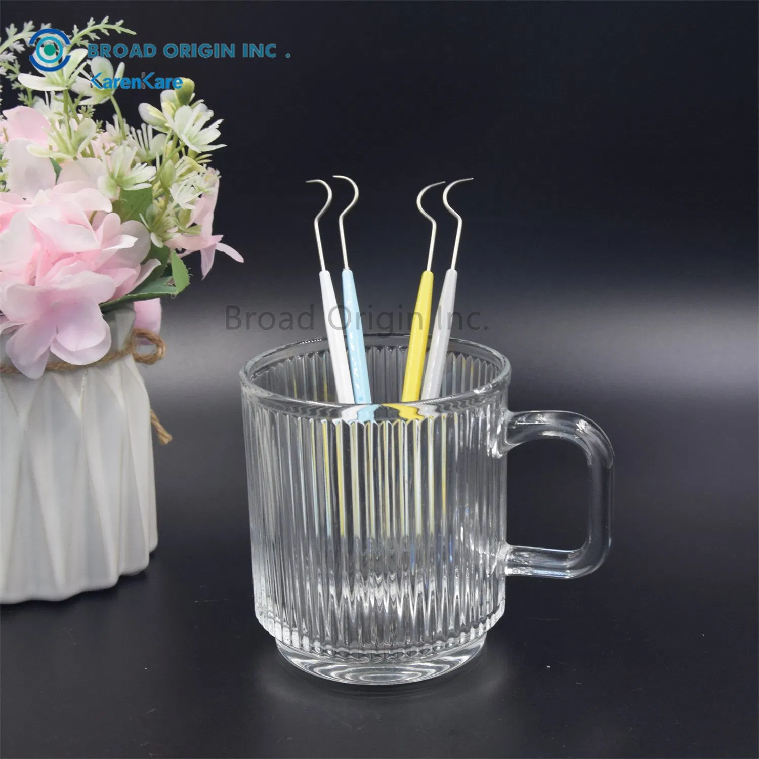 Dental Instruments Kit Stainless Steel Tarter Remover Dental Pick Hygiene Set