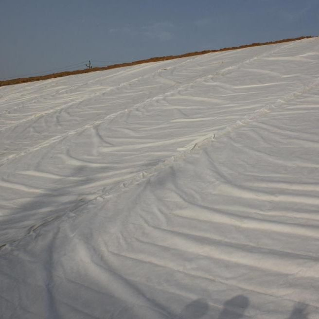 Bi-Planar 3D Drainage Geonet Composite Geotextile for Landfill
