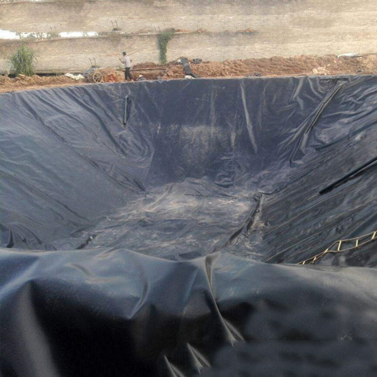 Factory Supply HDPE Geomembrane for Fish Farm Pond Liner