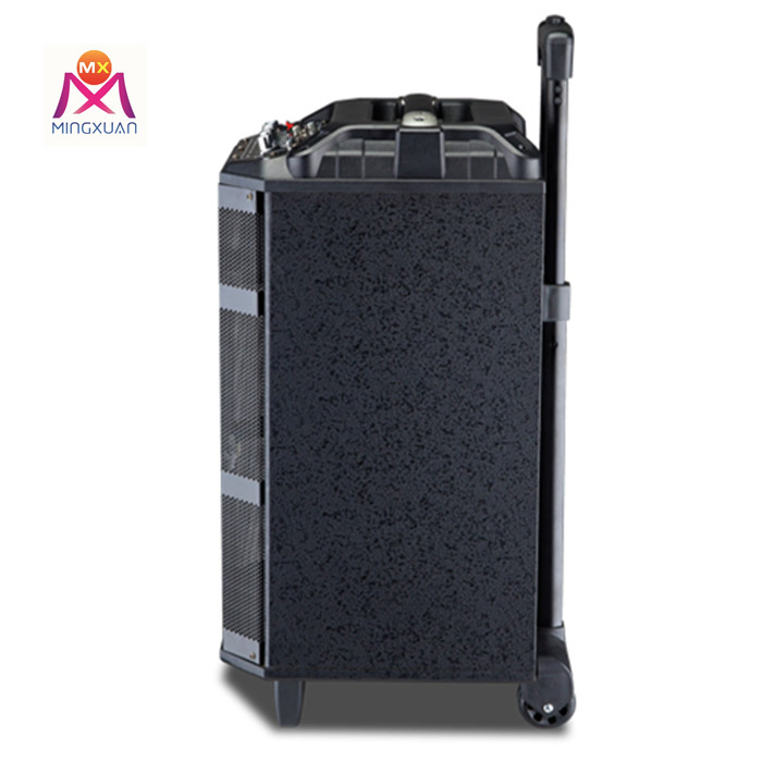 Портативная колонка Bluetooth 10 дюймов с выдвижной ручкой