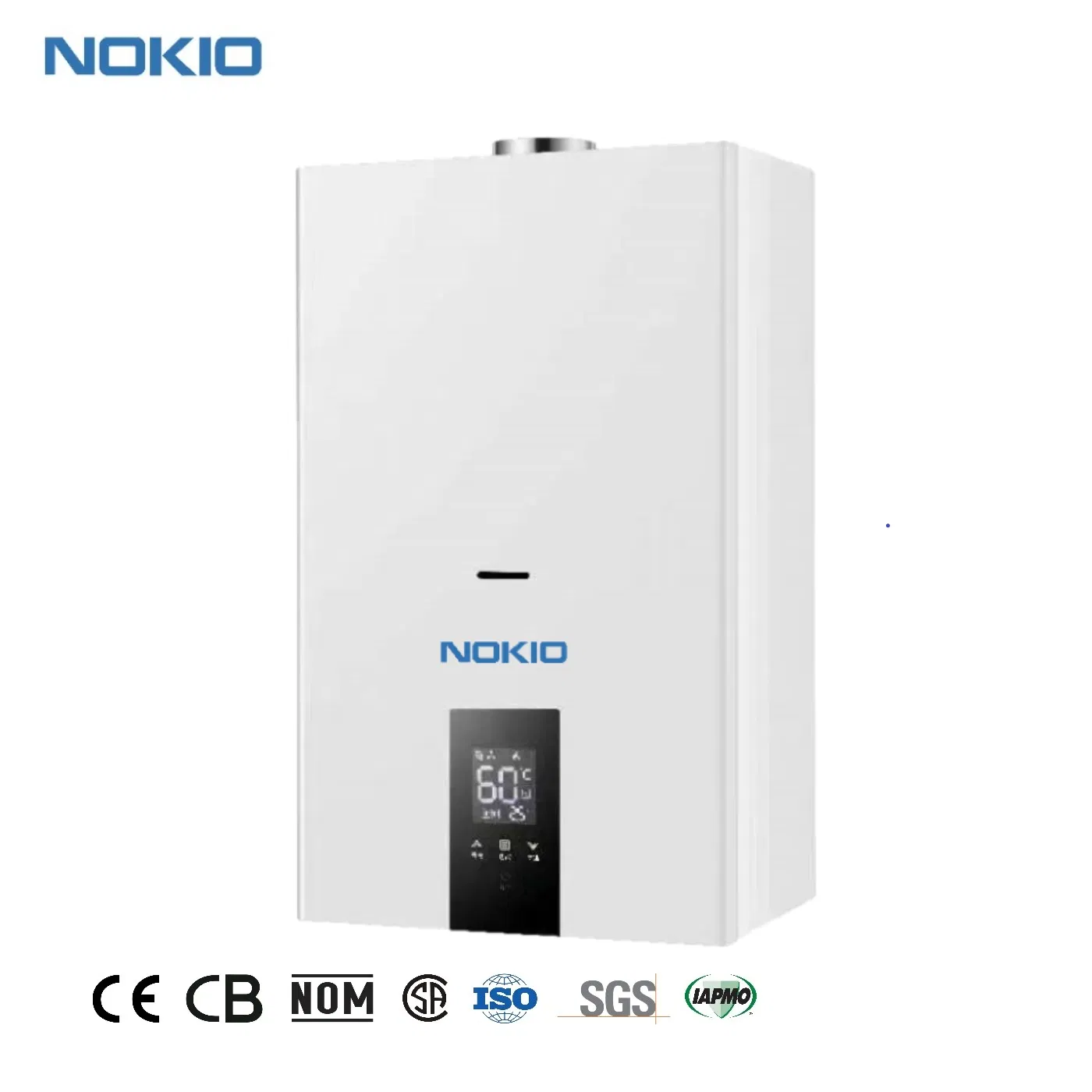 Gas-Saving Gas Boiler Inverter-Technology Recirculating Instant Gas Water Heater