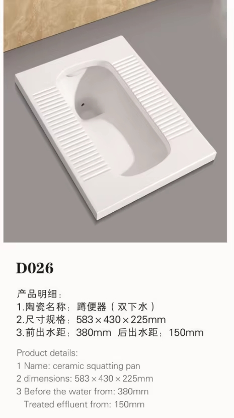 Modern Design Squatting Pan Toilet Tanks with Stylish Contemporary Features