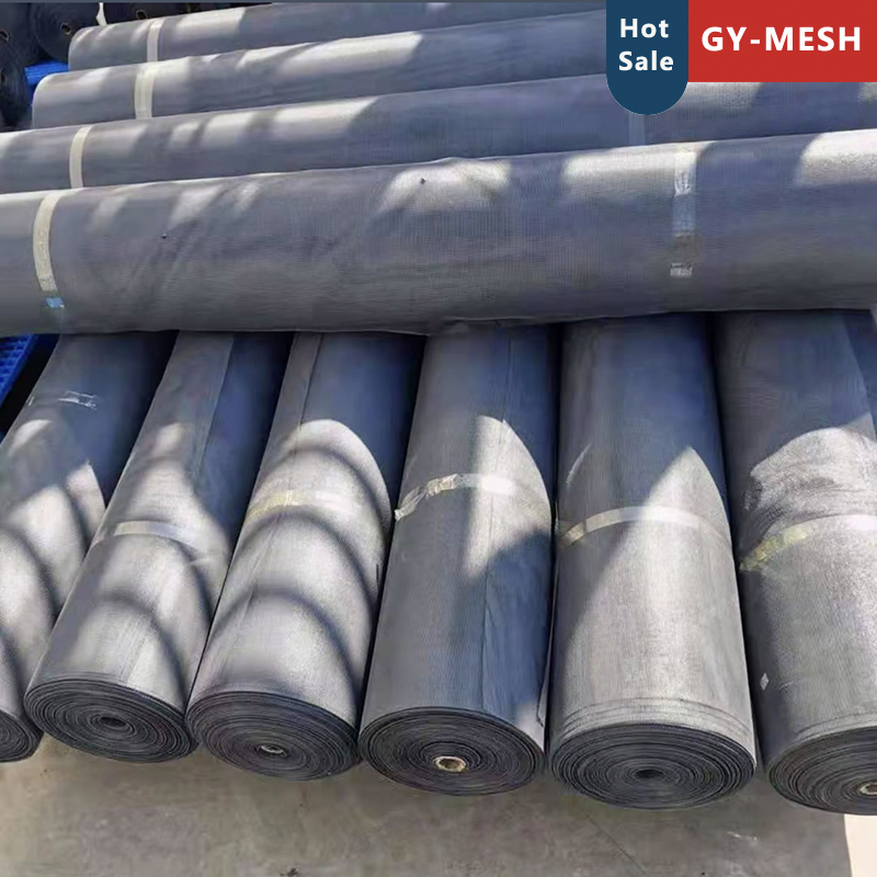 Galvanized Wire Mesh/Stainless Steel/Aluminium/Fiberglass Insect Window Fly Screen