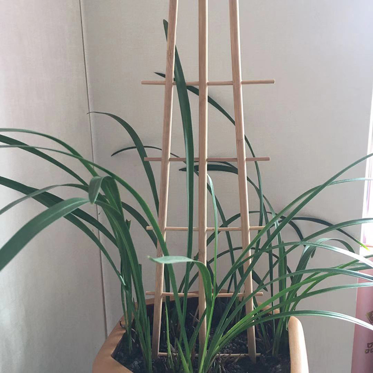 Garden Climbing Natural Bamboo Plant Pot Trellis Bamboo Ladder