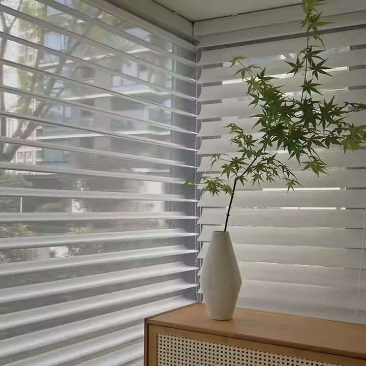 Sisheng Light Filtering OEM/ODM Shangrila Blinds with Motorized Options for Home