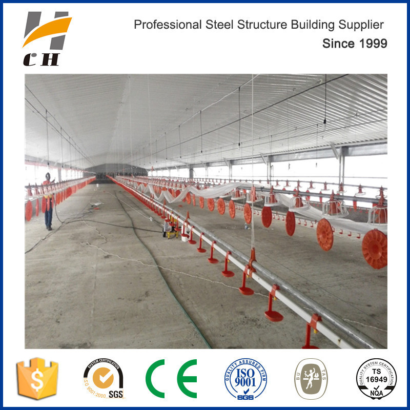 Prefabricated Automatic Equipments Commercial Poultry Chicken House/Farm/Shed