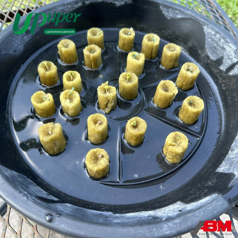 Upuper CPR22 Rock Wool Seedling Starter Plug Mechanical Seedling Compatible Small Size Hydroponic Seedling Substrate Lana de Rock Rock Wool Round Plug
