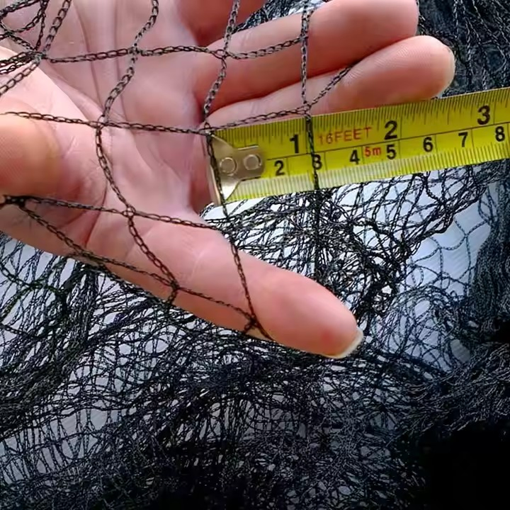 Durable Birds Net Anti Anti-Bird Nets Garden Protection HDPE Warp Knitting Hot Sale Bird Netting for Agricultural