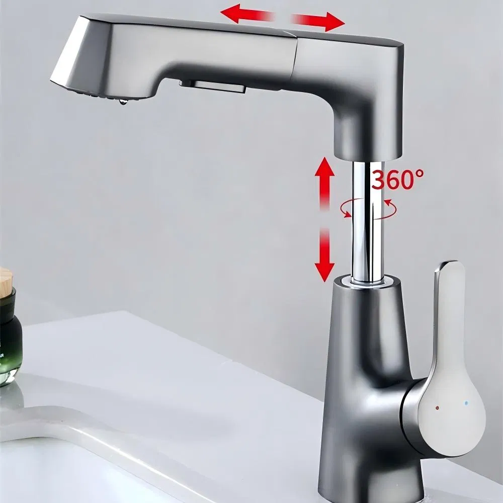 Sanitary Ware Single Handle Bathroom Hot and Cold Pull-out Faucet Taps for Basin
