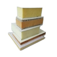 Fiberglass Sandwich Panel XPS EPS PU PP Honeycomb Plywood