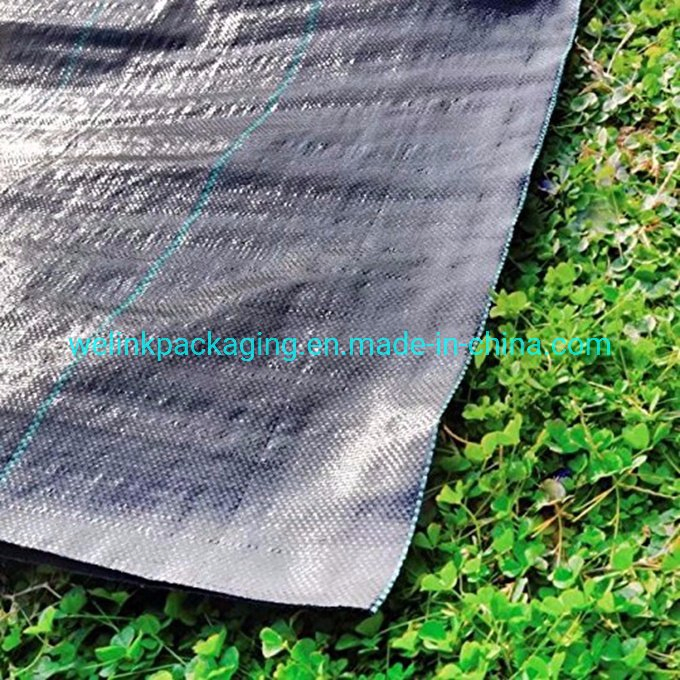PP Woven Fabric /PP Woven Ground Cover /Weed Control Mat