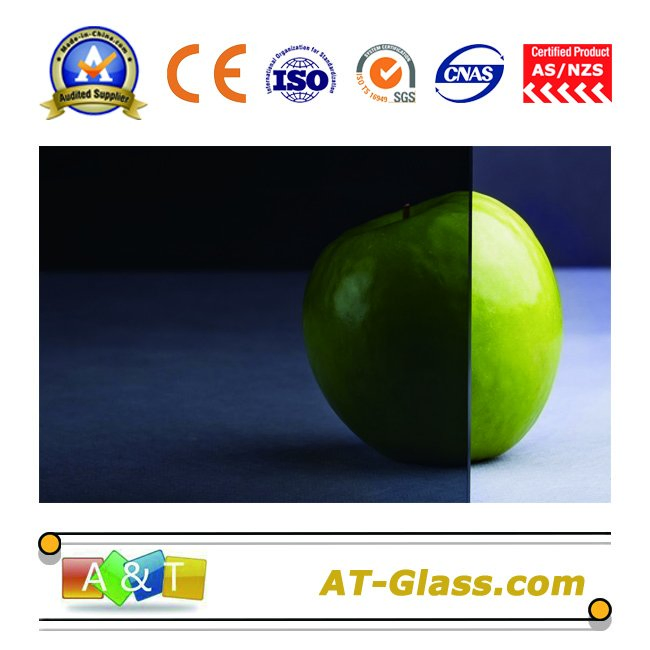 4mm, 5mm, 6mm, 8mm Tinted Float Glass / Tinted Glass /Float Glass for Window