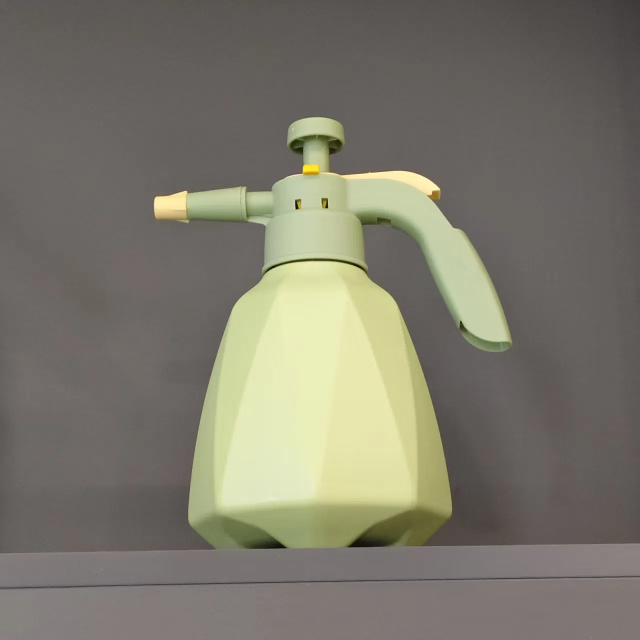 Small Hand Pressure Sprayer Mini Water Spray Bottle for Garden & Cleaning