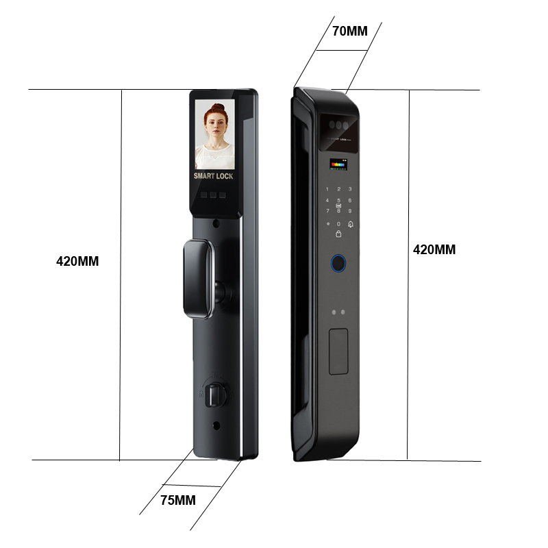 Black Color 3D Face Alum-Alloy Material Smart Lock