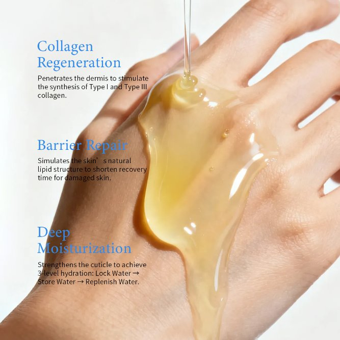 OEM/ODM High Absorption Multi-Effect Repair Patent Vc-IP Collagen Firming Activating Essence Oil Oil-Based Collagen Transdermal Penetration Oil-to-Anti-Aging