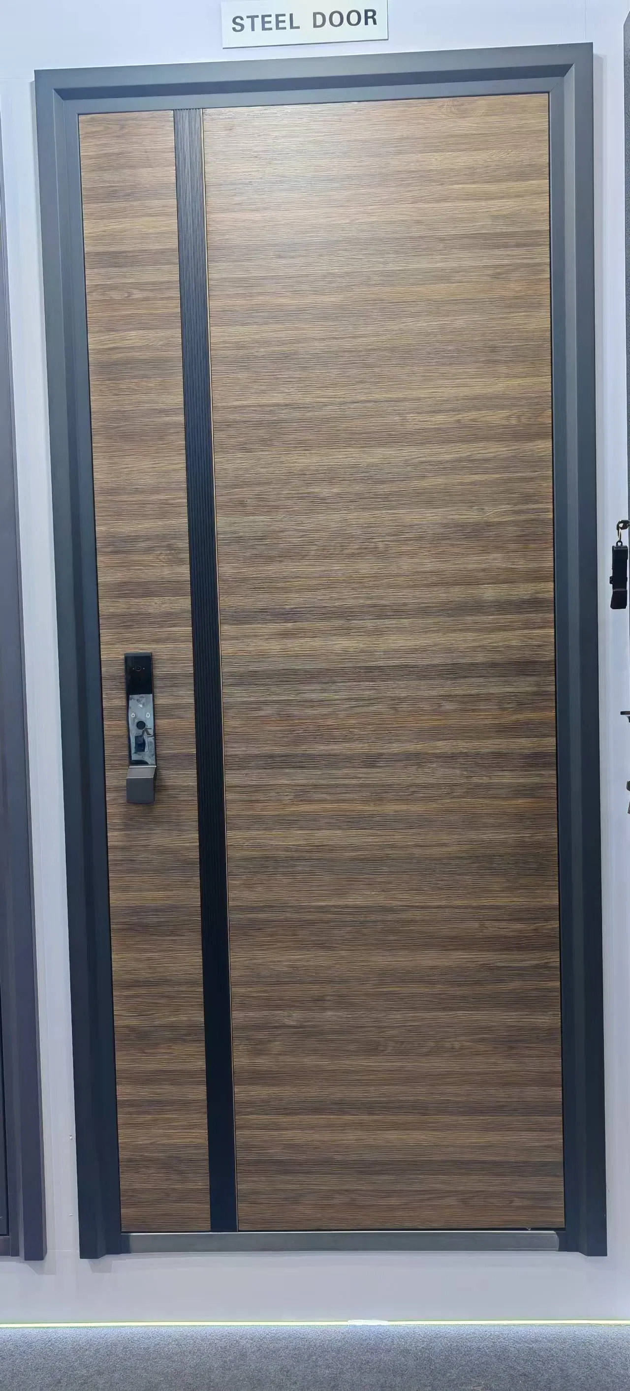 Dike Supplier Turkey Style Security Doors Modern Exterior Steel Security Door