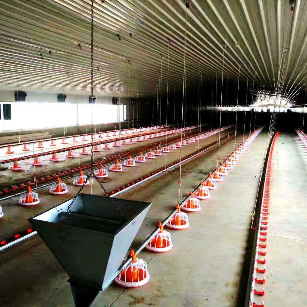 Durable Prefab Steel Structure Poultry Farming Commercial Chicken House