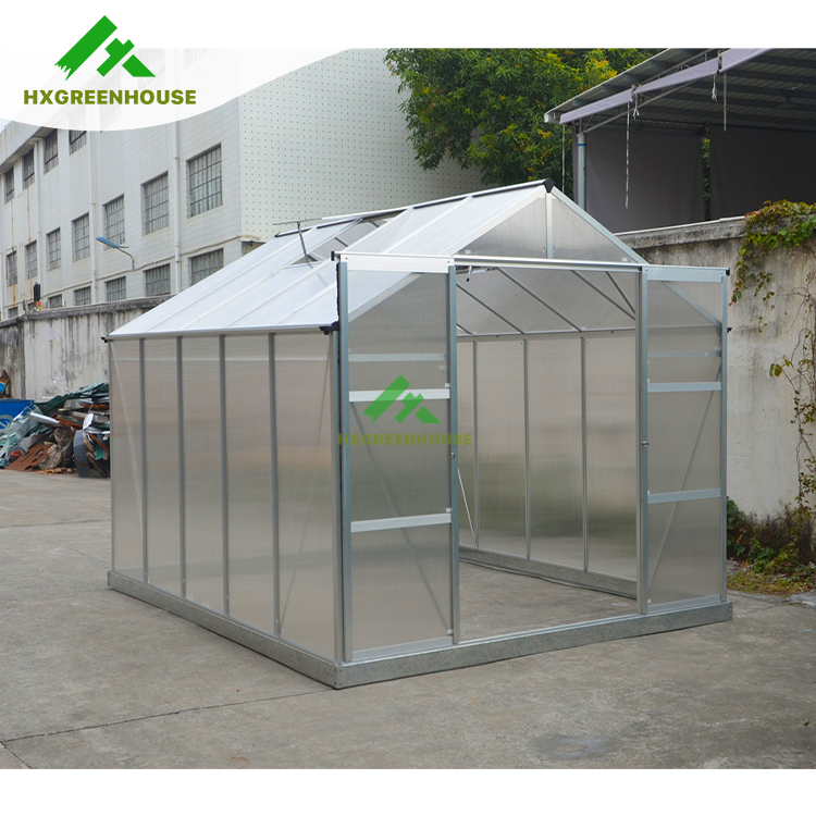 Wrought Iron Planting Sunlight Irrigation System Greenhouse